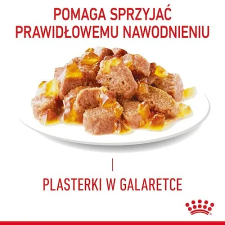 Royal Canin Hair & Skin Care karma mokra w galaretce dla kotów dorosłych, lśniąca sierść i zdrowa skóra saszetka 