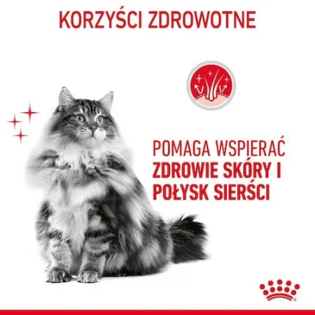 Royal Canin Hair & Skin Care karma mokra w galaretce dla kotów dorosłych, lśniąca sierść i zdrowa skóra saszetka 