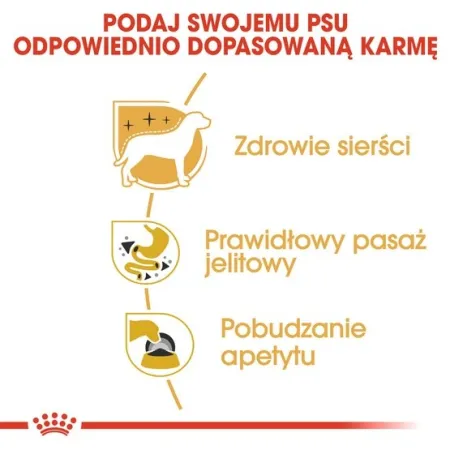 Royal Canin Chihuahua Adult karma mokra – pasztet, dla psów dorosłych rasy chihuahua saszetka 85g-2035774