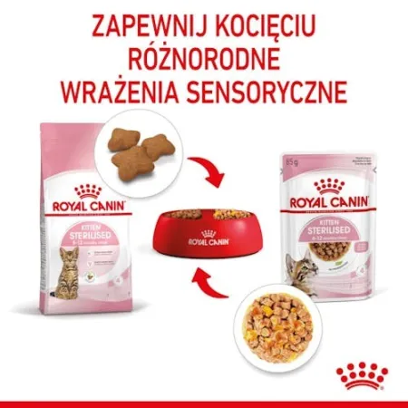 Royal Canin Kitten Sterilised karma mokra w galaretce dla kociąt od 6 do 12 miesiąca życia, sterylizowanych saszetka 