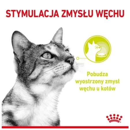 Royal Canin Sensory Smell w sosie karma mokra dla kotów dorosłych saszetka 85g-2035817