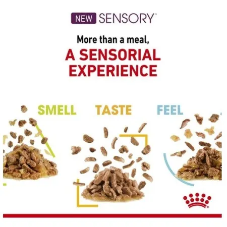 Royal Canin Sensory Smell w sosie karma mokra dla kotów dorosłych saszetka 85g-2035819