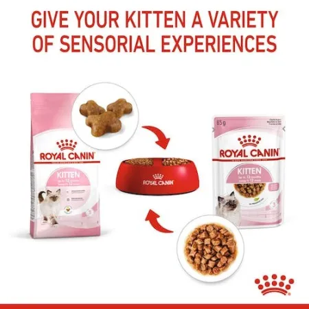Royal Canin Kitten w galaretce karma mokra dla kociąt do 12 miesiąca życia saszetka 85g-2035861