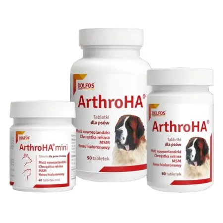 Arthro HA 60 tabletek-2035910