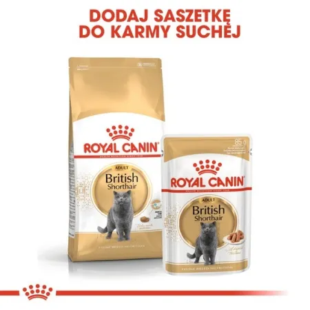 Royal Canin British Shorthair karma mokra w sosie dla kotów dorosłych rasy brytyjski krótkowłosy saszetka 85g-203595