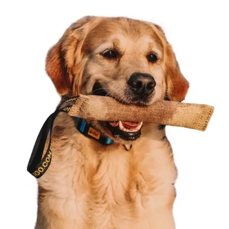 Dingo Zabawka dla psa - Szarpak z juty z uchwytem 28/6cm-2036054