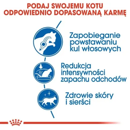 Royal Canin Indoor Long Hair karma sucha dla kotów dorosłych, długowłose, przebywających wyłącznie w domu 2kg-203