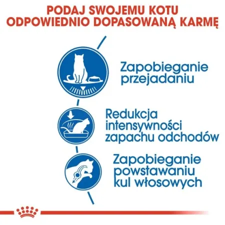 Royal Canin Indoor Apetite Control karma sucha dla kotów dorosłych przebywających w domu, domagających się jedzenia