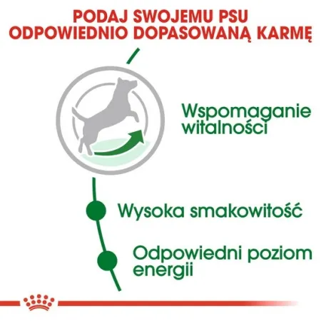 Royal Canin Mini Adult 8+ karma sucha dla psów starszych od 8 do 12 roku życia, ras małych 2kg-2036102