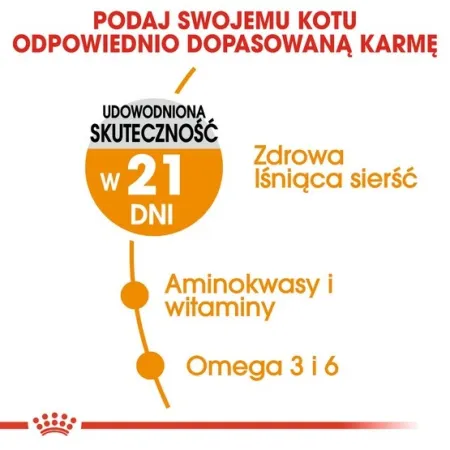 Royal Canin Hair&Skin Care karma sucha dla kotów dorosłych, lśniąca sierść i zdrowa skóra 2kg-2036106
