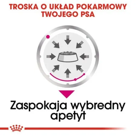 Royal Canin Exigent karma mokra dla wybrednych psów dorosłych, wszystkich ras, pasztet saszetka 85g-2036120