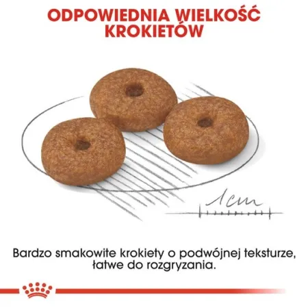 Royal Canin Mini Ageing 12+ karma sucha dla psów dojrzałych po 12 roku życia, ras małych 800g-2036215