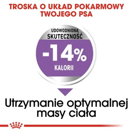 Royal Canin Mini Sterilised karma sucha dla psów dorosłych, ras małych, sterylizowanych 3kg-2036248