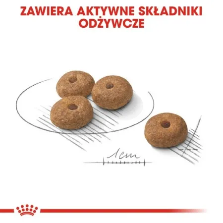 Royal Canin Mini Sterilised karma sucha dla psów dorosłych, ras małych, sterylizowanych 3kg-2036249
