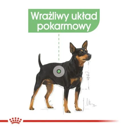 Royal Canin Digestive Care karma mokra dla psów dorosłych, wszystkich ras o wrażliwym przewodzie pokarmowym saszetka 