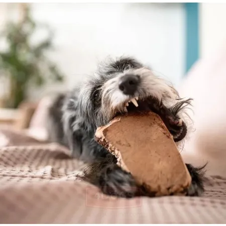 4DOGS Gryzak z korzenia drzewa wrzosowego S-2036488