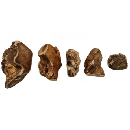 4DOGS Gryzak z korzenia drzewa wrzosowego XL-2036492