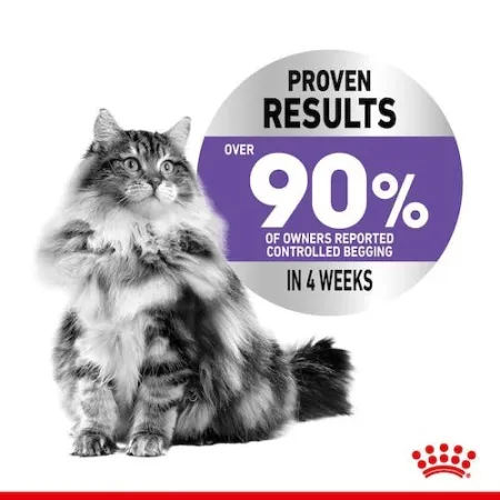 Royal Canin Appetite Control Care karma mokra w sosie dla kotów dorosłych, domagających się jedzenia saszetka 85g-20