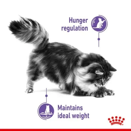 Royal Canin Appetite Control Care karma mokra w sosie dla kotów dorosłych, domagających się jedzenia saszetka 85g-20