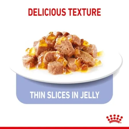 Royal Canin Appetite Control Care karma mokra w galaretce dla kotów dorosłych, domagających się jedzenia saszetka 85