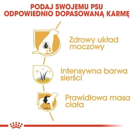 Royal Canin Miniature Schnauzer Adult karma sucha dla psów dorosłych rasy schnauzer miniaturowy 3kg-2036661