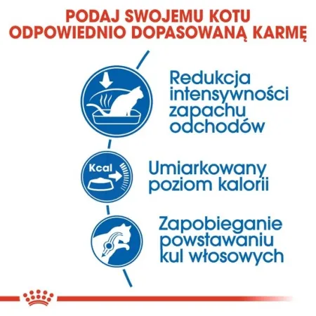 Royal Canin Indoor karma sucha dla kotów dorosłych, przebywających wyłącznie w domu 4kg-2036666