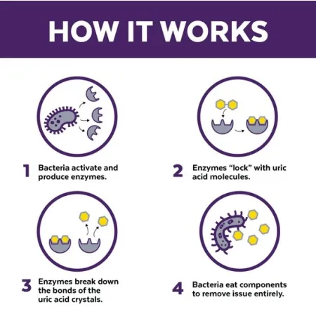 Urine Off Cat & Kitten Formula - do usuwania plam moczu 946ml-2036672