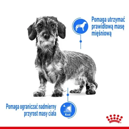 Royal Canin Mini Light Weight Care karma sucha dla psów dorosłych, ras małych z tendencją do nadwagi 3kg-2036739
