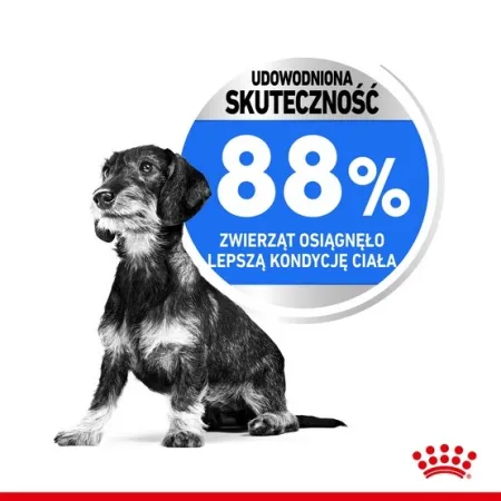 Royal Canin Mini Light Weight Care karma sucha dla psów dorosłych, ras małych z tendencją do nadwagi 3kg-2036740