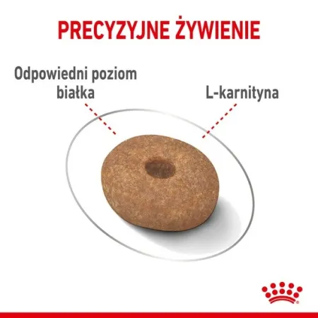 Royal Canin Mini Light Weight Care karma sucha dla psów dorosłych, ras małych z tendencją do nadwagi 3kg-2036741