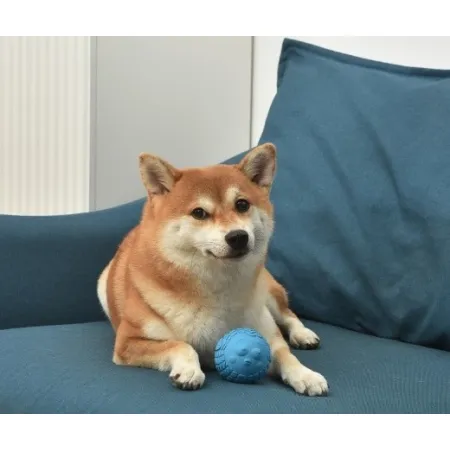 Arm&Hammer Super Treadz BlowFish [FFP15896]-2036785