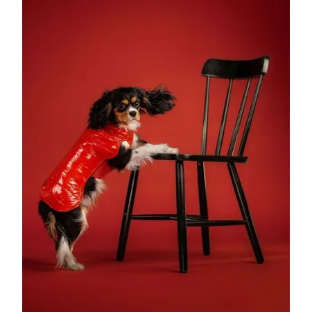 Chaba Kubrak Dopamine 3XL czerwony-2036799