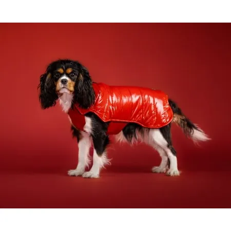 Chaba Kubrak Dopamine 3XL czerwony-2036800