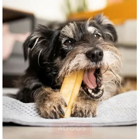 4DOGS Gryzak z sera himalajskiego Churpi Original M-2037277