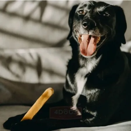 4DOGS Gryzak z sera himalajskiego Churpi Original XXL-2037311