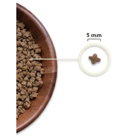 Acana Highest Protein Kitten 1,8kg-2037415