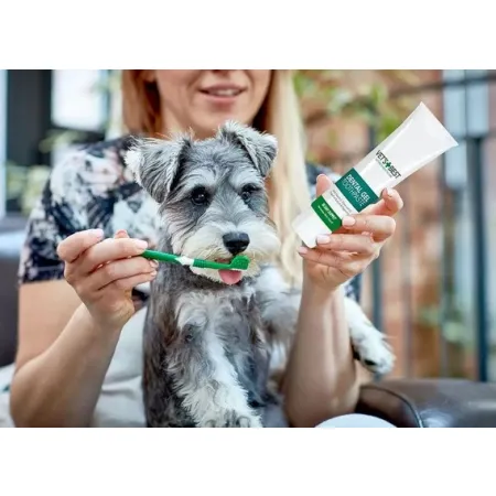 Vet's Best Dental żel + szczoteczka zestaw Adult-2037496