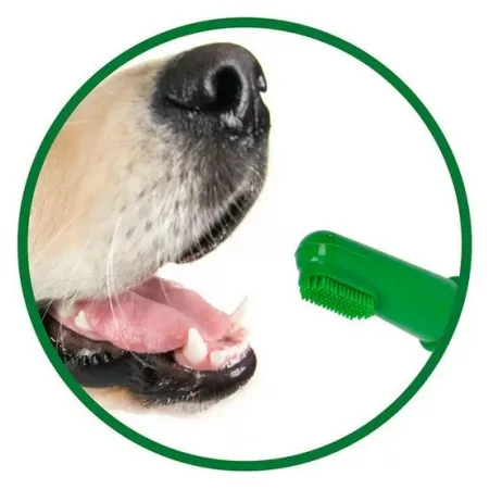 Vet's Best Dental żel + szczoteczka zestaw Puppy-2037506
