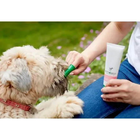 Vet's Best Dental żel + szczoteczka zestaw Puppy-2037507