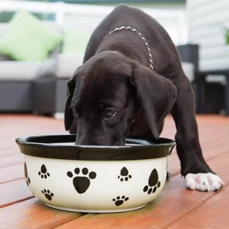 Vet's Best Breath Freshener Płyn do wody - higiena jamy ustnej 500ml-2037513