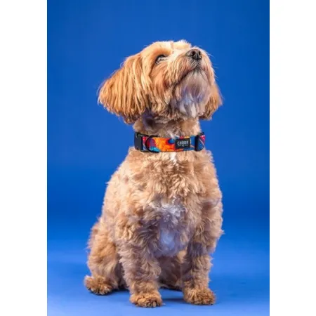 CHABA Obroża regulowana Story III M Aussie-2037888