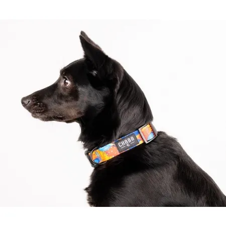 CHABA Obroża regulowana Story III L Aussie-2037895