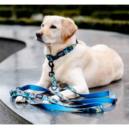 CHABA Obroża regulowana Story III M Carnival-2037914