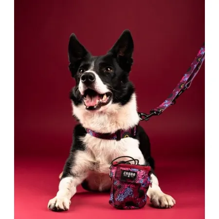 CHABA Obroża regulowana Story III L Lakota-2037966