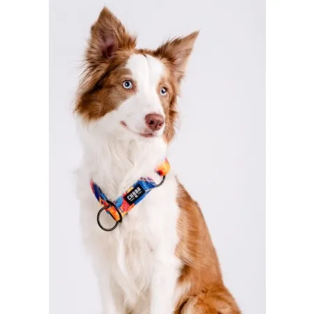 CHABA Obroża półzaciskowa Story III M Aussie-2037978