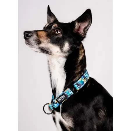 CHABA Obroża półzaciskowa Story III L Carnival-2037990