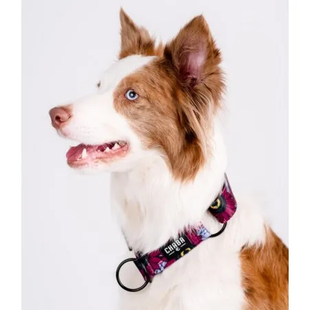 CHABA Obroża półzaciskowa Story III M Lakota-2038002