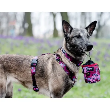 CHABA Saszetka na smakołyki Story III Multi 2w1 Lakota-2038022