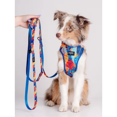 CHABA Smycz regulowana Story III M 20mm/260cm Aussie-2038033