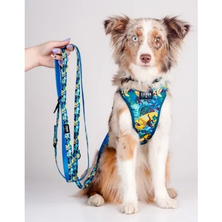 CHABA Smycz regulowana Story III S 16mm/260cm Carnival-2038045